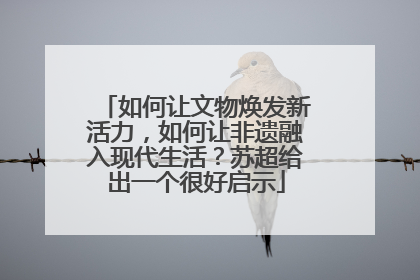 如何让文物焕发新活力，如何让非遗融入现代生活？苏超给出一个很好启示