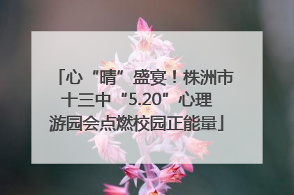 心“晴”盛宴！株洲市十三中“5.20”心理游园会点燃校园正能量