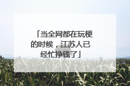 当全网都在玩梗的时候，江苏人已经忙挣钱了