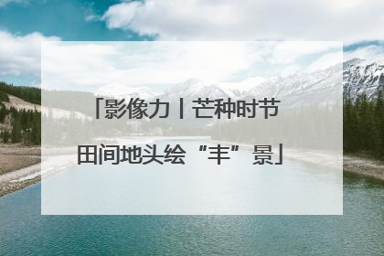 影像力丨芒种时节 田间地头绘“丰”景