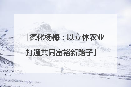 德化杨梅：以立体农业打通共同富裕新路子