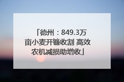 德州：849.3万亩小麦开镰收割 高效农机减损助增收