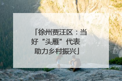 徐州贾汪区：当好“头雁”代表 助力乡村振兴