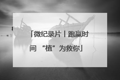 微纪录片丨跑赢时间 “植”为救你