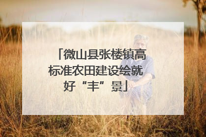 微山县张楼镇高标准农田建设绘就好“丰”景