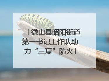 微山县昭阳街道第一书记工作队助力“三夏”防火
