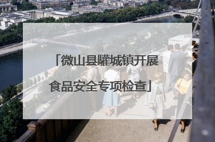 微山县驩城镇开展食品安全专项检查