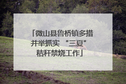 微山县鲁桥镇多措并举抓实 “三夏” 秸秆禁烧工作