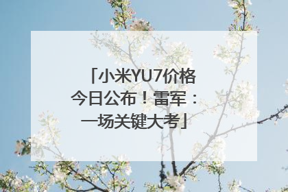 小米YU7价格今日公布！雷军：一场关键大考