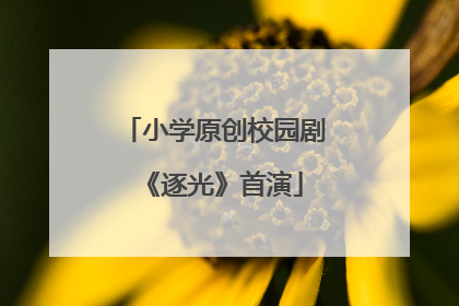 小学原创校园剧《逐光》首演
