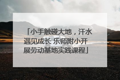 小手触碰大地，汗水遇见成长 乐师附小开展劳动基地实践课程