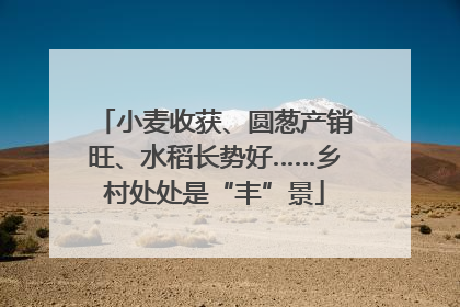 小麦收获、圆葱产销旺、水稻长势好……乡村处处是“丰”景