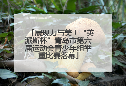 展现力与美！“英派斯杯”青岛市第六届运动会青少年组举重比赛落幕