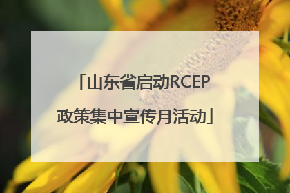 山东省启动RCEP政策集中宣传月活动