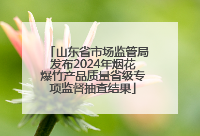 山东省市场监管局发布2024年烟花爆竹产品质量省级专项监督抽查结果