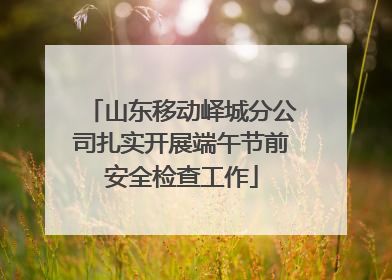 山东移动峄城分公司扎实开展端午节前安全检查工作
