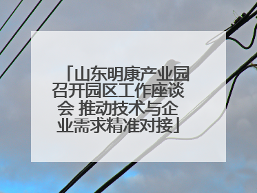 山东明康产业园召开园区工作座谈会 推动技术与企业需求精准对接