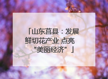 山东莒县：发展鲜切花产业 点亮“美丽经济”