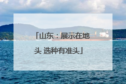 山东：展示在地头 选种有准头