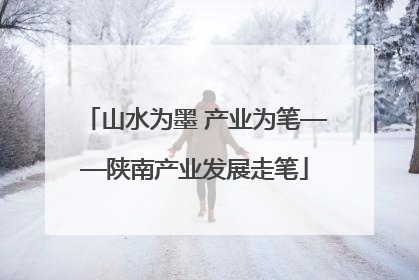 山水为墨 产业为笔——陕南产业发展走笔