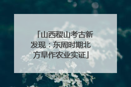 山西稷山考古新发现：东周时期北方旱作农业实证