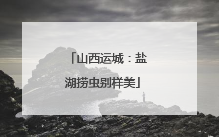 山西运城：盐湖捞虫别样美
