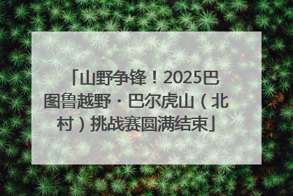 山野争锋！2025巴图鲁越野・巴尔虎山（北村）挑战赛圆满结束