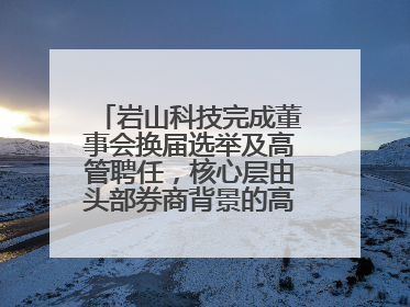 岩山科技完成董事会换届选举及高管聘任，核心层由头部券商背景的高管掌控