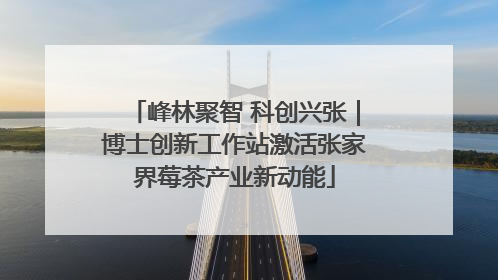峰林聚智 科创兴张｜博士创新工作站激活张家界莓茶产业新动能