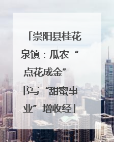 崇阳县桂花泉镇：瓜农“点花成金” 书写“甜蜜事业”增收经