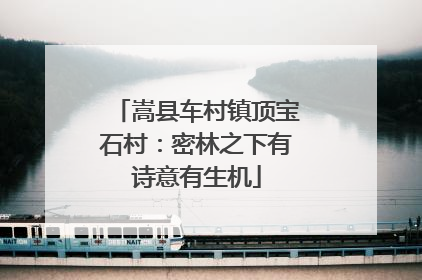 嵩县车村镇顶宝石村：密林之下有诗意有生机