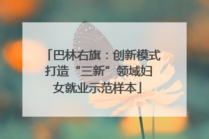 巴林右旗：创新模式 打造“三新”领域妇女就业示范样本