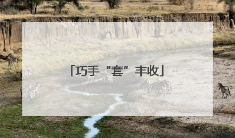 巧手“套”丰收