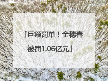 巨额罚单！金穗春被罚1.06亿元