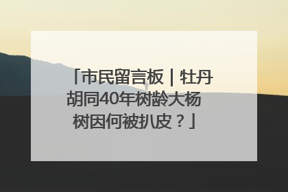 市民留言板｜牡丹胡同40年树龄大杨树因何被扒皮？