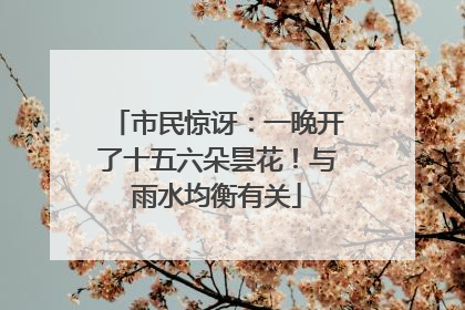 市民惊讶：一晚开了十五六朵昙花！与雨水均衡有关
