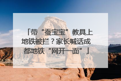 带“蚕宝宝”教具上地铁被拦？家长喊话成都地铁“网开一面”