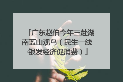 广东赵伯今年三赴湖南蓝山观鸟（民生一线·银发经济促消费）