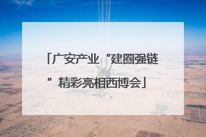 广安产业“建圈强链”精彩亮相西博会