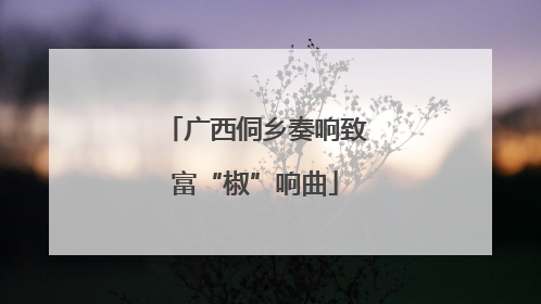 广西侗乡奏响致富“椒”响曲
