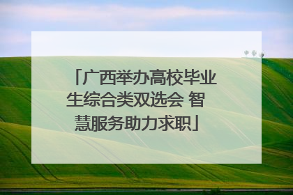 广西举办高校毕业生综合类双选会 智慧服务助力求职