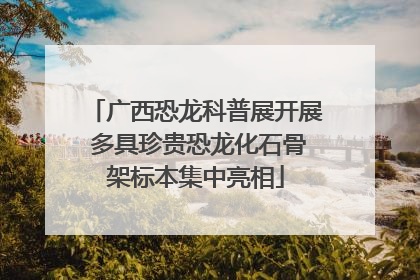 广西恐龙科普展开展 多具珍贵恐龙化石骨架标本集中亮相