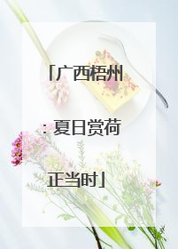 广西梧州：夏日赏荷正当时