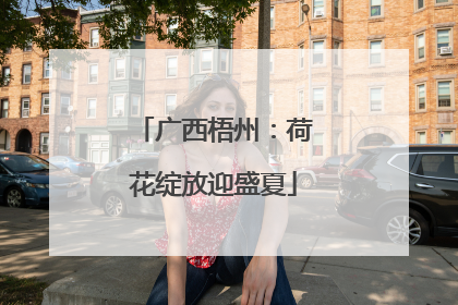 广西梧州：荷花绽放迎盛夏