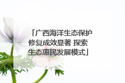 广西海洋生态保护修复成效显著 探索生态惠民发展模式