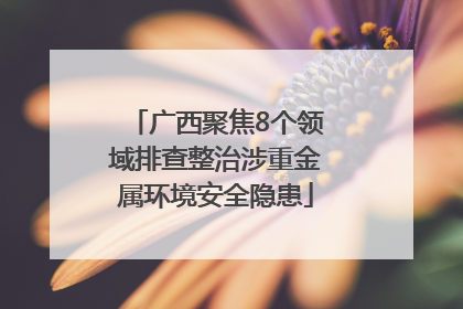 广西聚焦8个领域排查整治涉重金属环境安全隐患