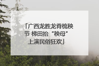 广西龙胜龙脊梳秧节 梯田抬“秧母”上演民俗狂欢