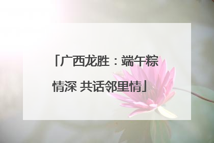 广西龙胜：端午粽情深 共话邻里情