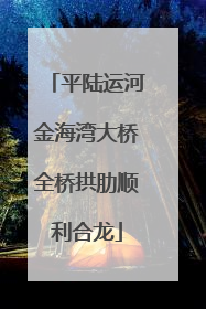 平陆运河金海湾大桥全桥拱肋顺利合龙