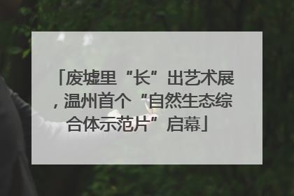 废墟里“长”出艺术展，温州首个“自然生态综合体示范片”启幕